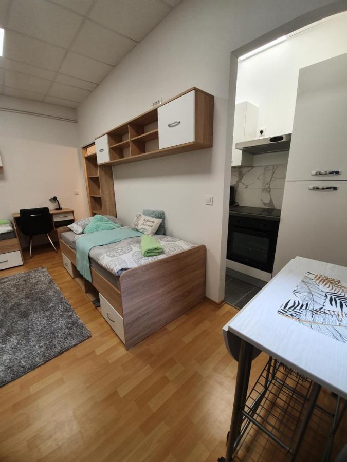 Maribor City Center Minidorm Apartment Kültér fotó